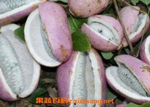 八月瓜怎么做成菜吃的视频,八月瓜美味家常菜制作攻略