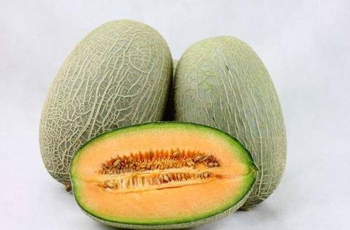 巨贵吃哈密瓜好不好呢视频,美味还是禁忌？