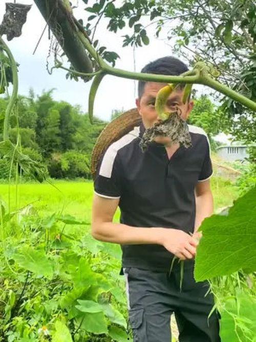 吃瓜搞笑大妈视频合集,欢乐无限