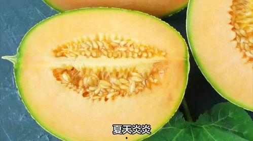 鹅可以吃冻的哈密瓜吗视频,冻哈密瓜的奇妙食用之旅