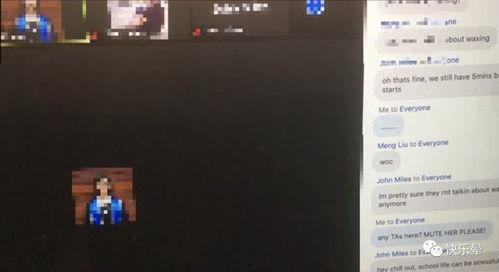 羊村吃瓜事件视频播放,一场网络狂欢背后的真相揭秘