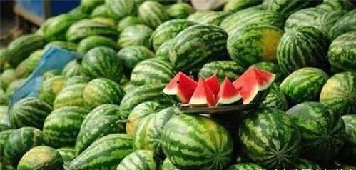 蹲下吃瓜搞笑视频素材高清