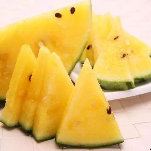 瓜柳种子怎么吃最好吃视频,视频教你最佳吃法