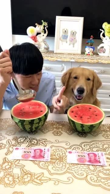 搞笑视频套路吃瓜图片,吃瓜群众笑翻天