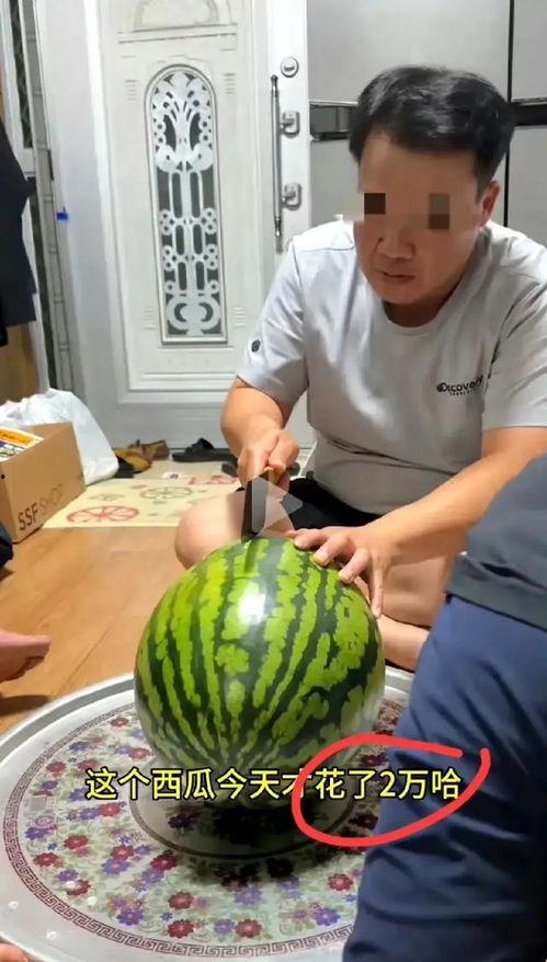 就一吃瓜视频,揭秘娱乐圈幕后故事